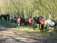 Ausritt und Picknick