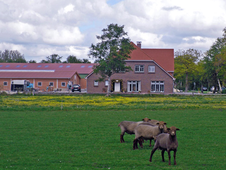 Reiterhof Kleine Mücke