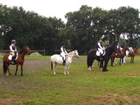 Basis-, Reitpass und Deutsches Reitabzeichen III, 2008